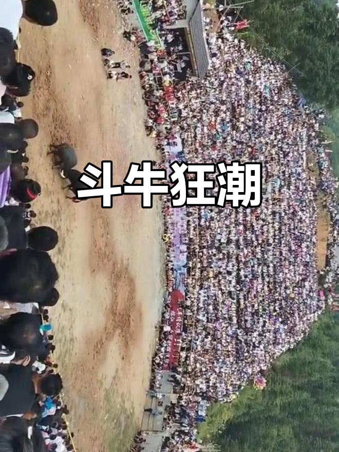 Rookie迎来十二赛季出色发挥，德国队观众热烈欢呼！